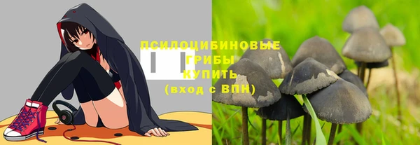 ПСИЛОЦИБИНОВЫЕ ГРИБЫ Балахна