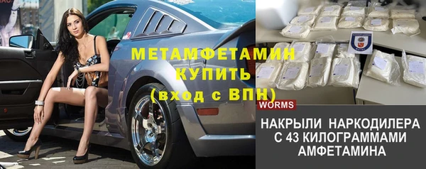 ПСИЛОЦИБИНОВЫЕ ГРИБЫ Балахна