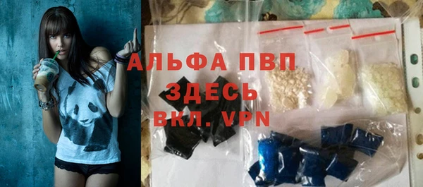дживик Белокуриха