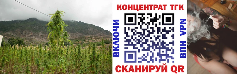 даркнет сайт  Кировград  Дистиллят ТГК концентрат 